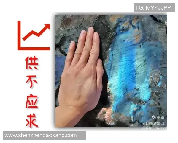 南京排球队逆袭之路揭秘:从默默无闻到城市联赛冠军的奋斗历程 南京排球队逆袭之路揭秘:从默默无闻到城市联赛冠军的奋斗历程